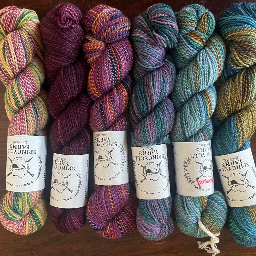 Assorted Spincycle Dyed in the Wool